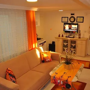  Apartment Deniz Manzarasi, Marti Sesleri Esliginde